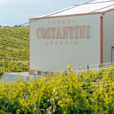 PODERI COSTANTINI ANTONIO. Il tempo che torna alla terra.
