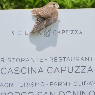 PODERE SELVA CAPUZZA. Soglia di terra e di cielo.